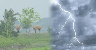 সাতক্ষীরায় বজ্রপাত আতঙ্ক; বাড়ছে মৃত্যুর ঝুঁকি